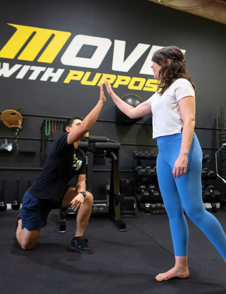 What comes next after the Motive Movement and Mobility Assessment
