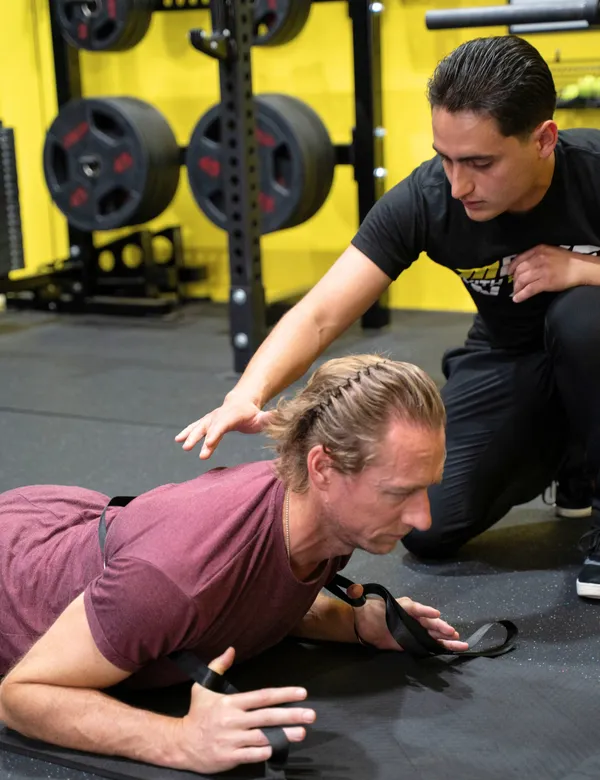 Motive Training Weights