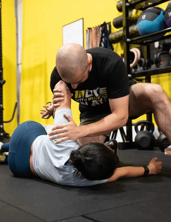 The process of the Motive Movement and Mobility Assessment